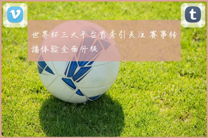世界杯三大平台首秀引关注 赛事转播体验全面升级