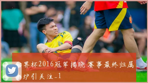 世界杯2016冠军揭晓 赛事最终归属出炉引关注_1
